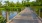 Wooden bridge over river