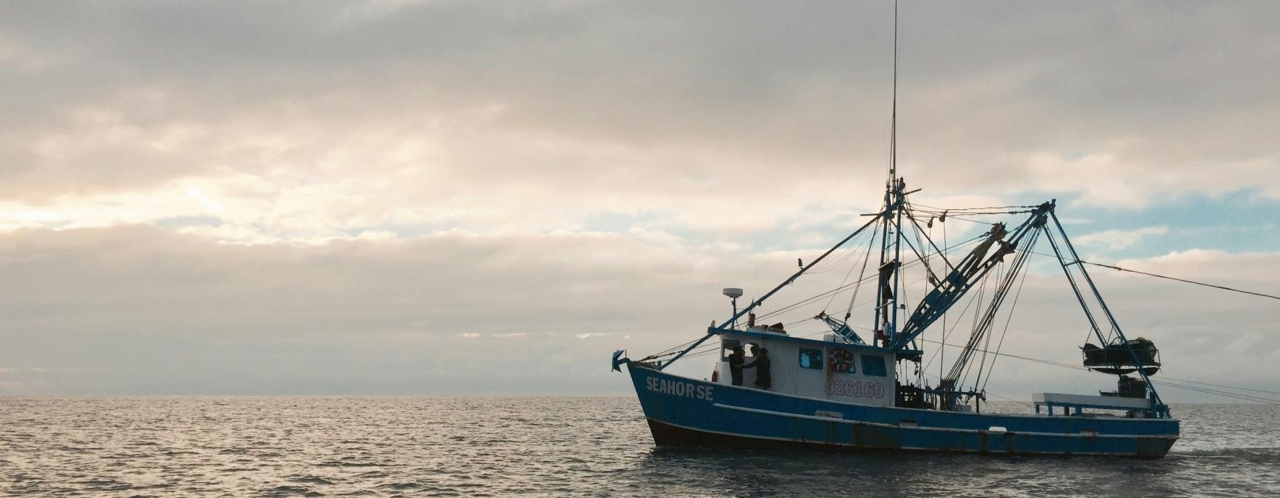 a boat in the water